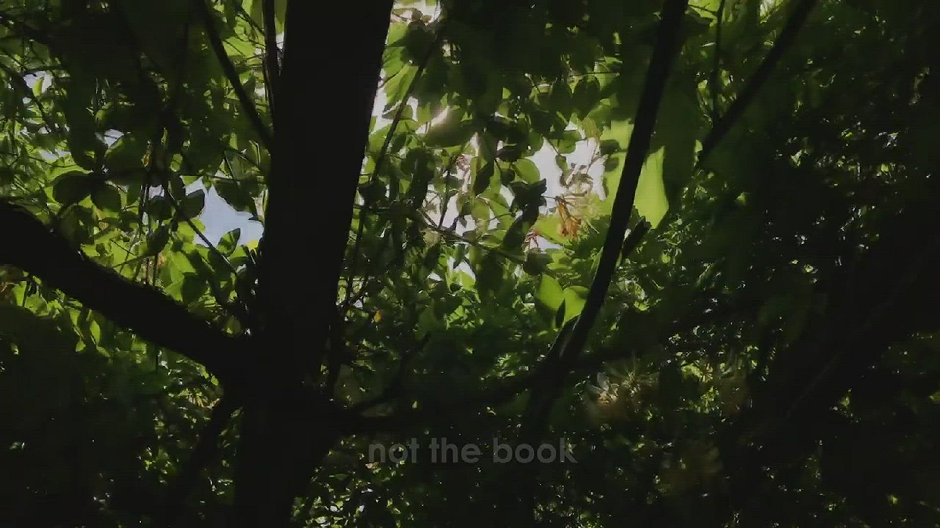 Video thumbnail for He Loved My Body But Not Me Ad