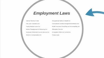 'Video thumbnail for Employment Law (Intro)'