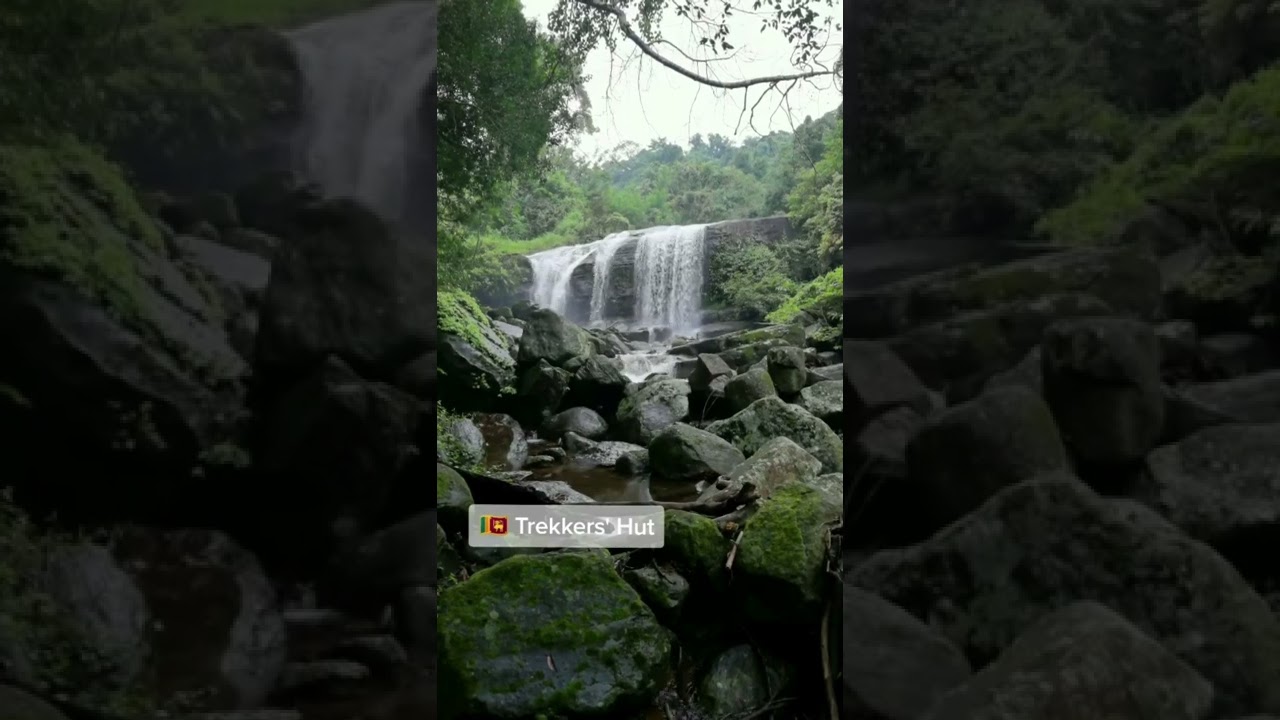 Video thumbnail for Hidden paradise inside the jungle #shorts