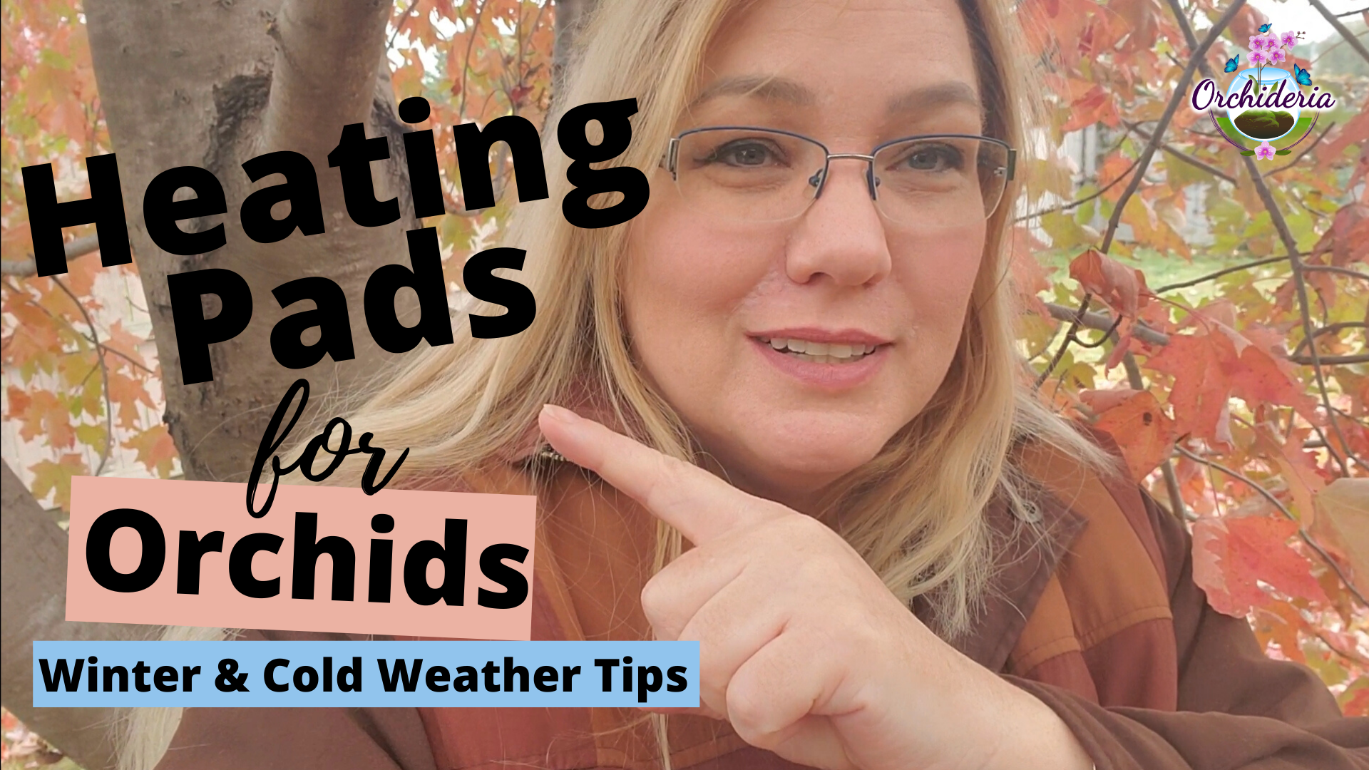 Video thumbnail for Heating Pads for Orchids: Luxury or Necessity For Winter?