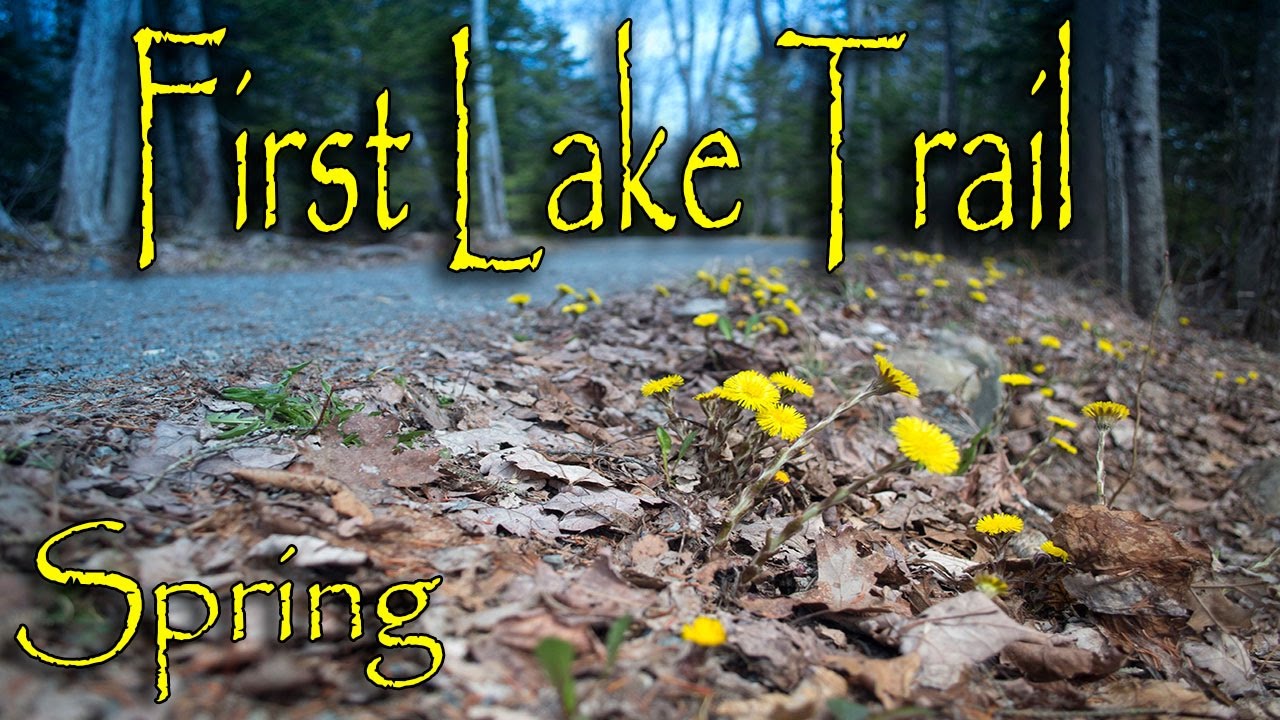 'Video thumbnail for Early Spring - First Lake Trail, Sackville Lakes Provincial Park'