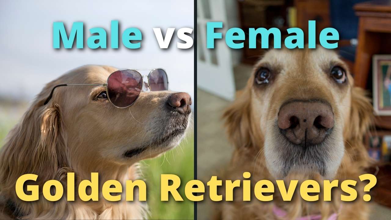 'Video playlist thumbnail'