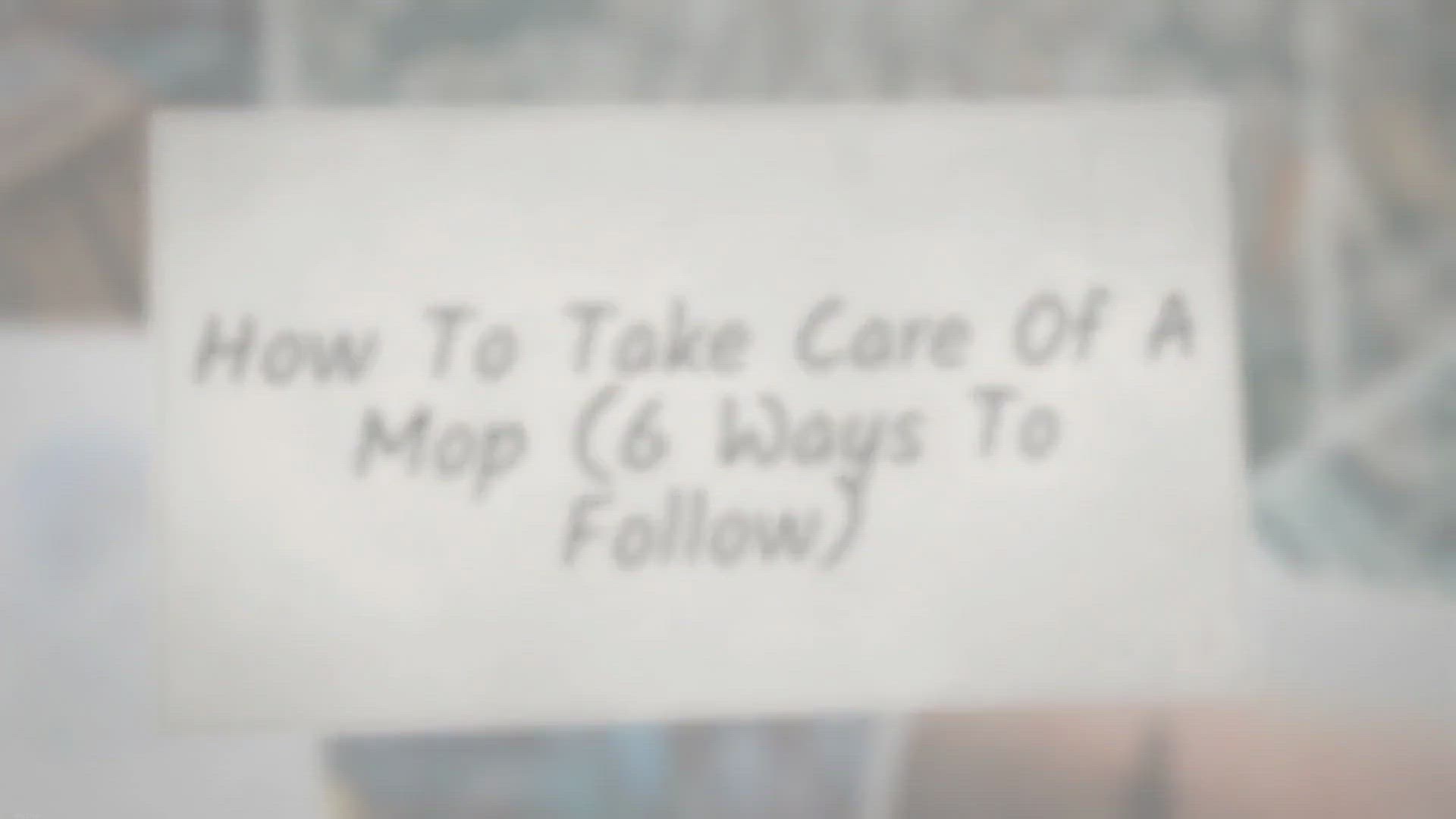 Video thumbnail for How To Take Care of a Mop (6 Ways to follow)