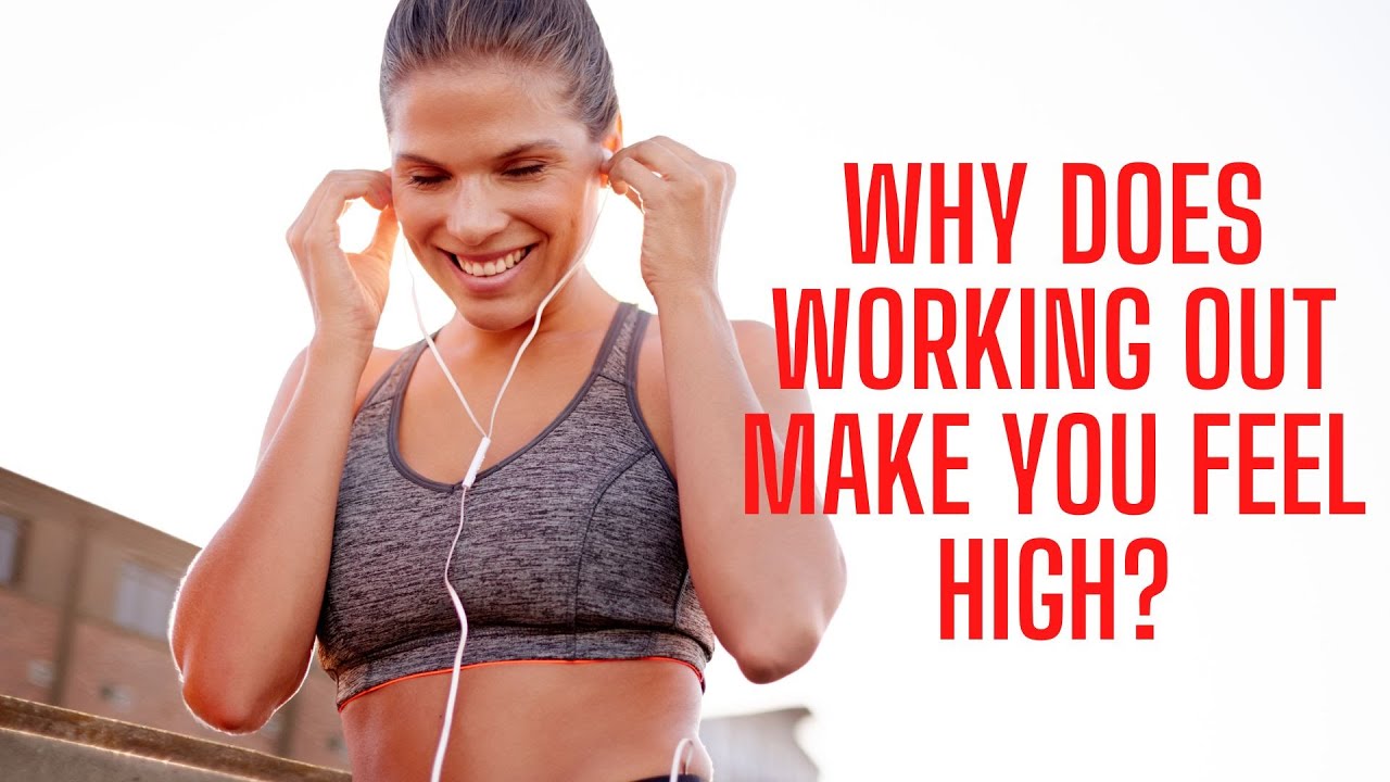 'Video thumbnail for Why Does Working Out Make You Feel High?'