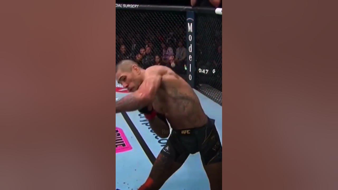 Video thumbnail for Did you see that by Adesanya😱🥶 Perreira was out cold🥶🥶 #adesanyavspereira #israeladesanya