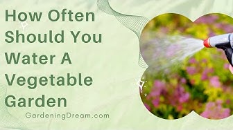 Video thumbnail for How Often Should You Water A Vegetable Garden