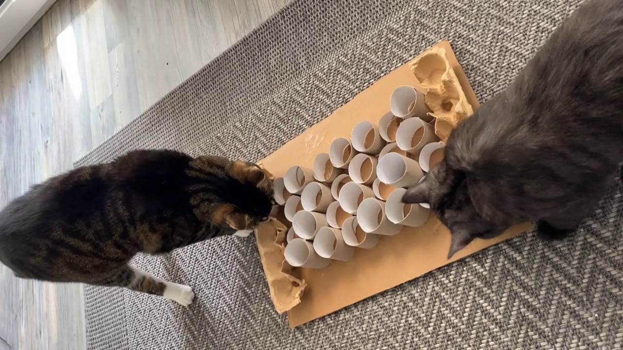 Video thumbnail for Selbstgebasteltes Fummelbrett