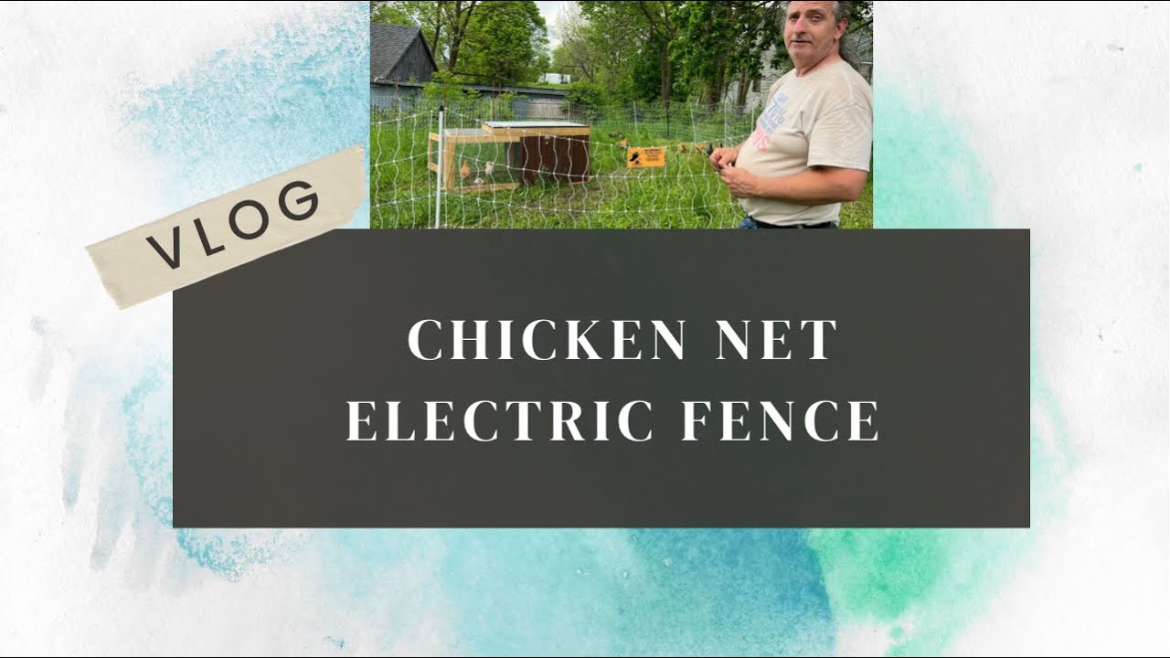 Video thumbnail for Chicken Net Electric Fence Day 2422 Experimental Homesteader