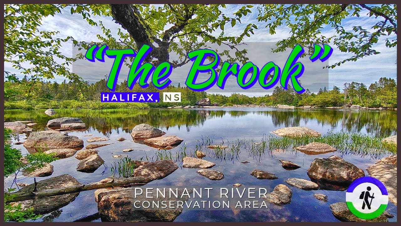 'Video thumbnail for "The Brook" - Pennant River Conservation Lands in Halifax, NS'
