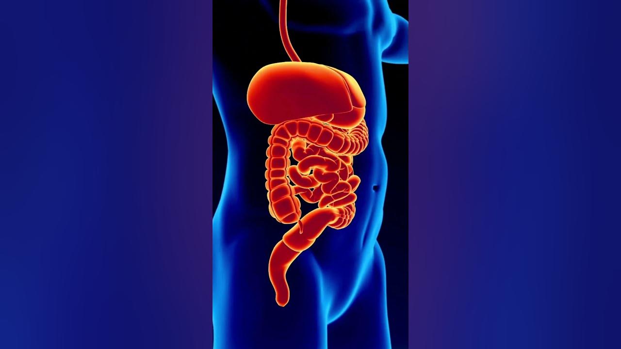 'Video thumbnail for Squeeze Out Better Health with Lemon Balm #shorts'