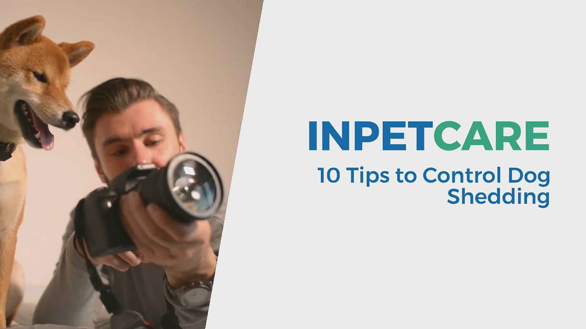 Video thumbnail for Shedding Control in Dogs