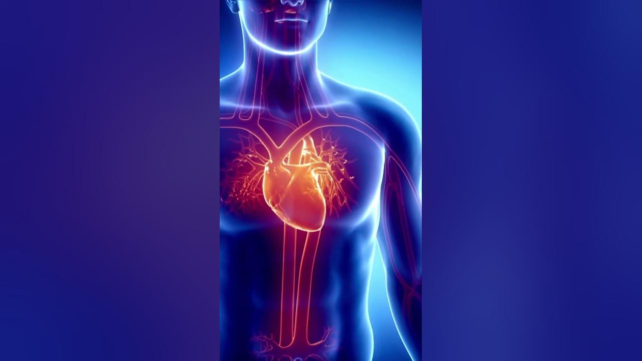 'Video thumbnail for Stress: The Silent Killer of the Heart #shorts'