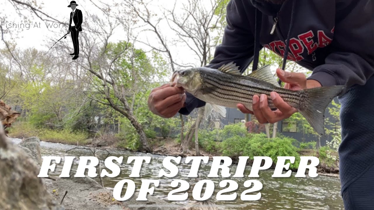 'Video thumbnail for First Striped Bass of the 2022'
