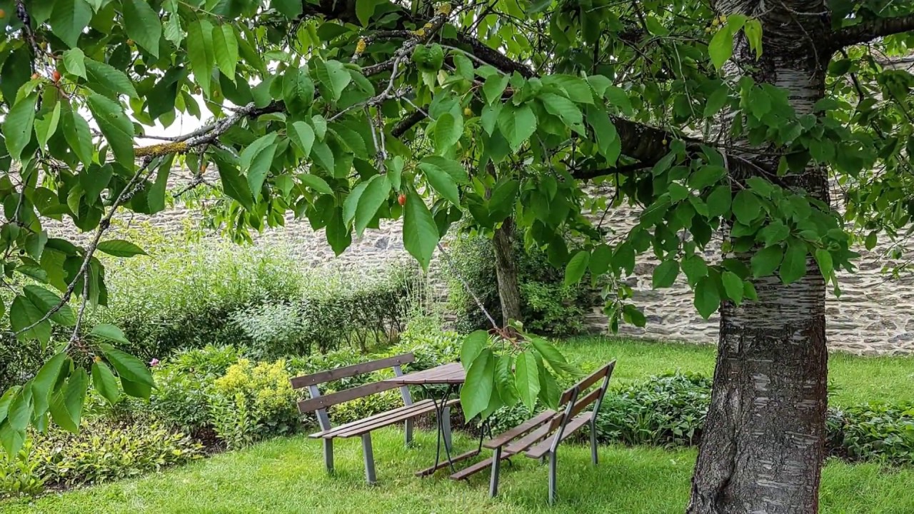 'Video thumbnail for Klostergarten Altzella'
