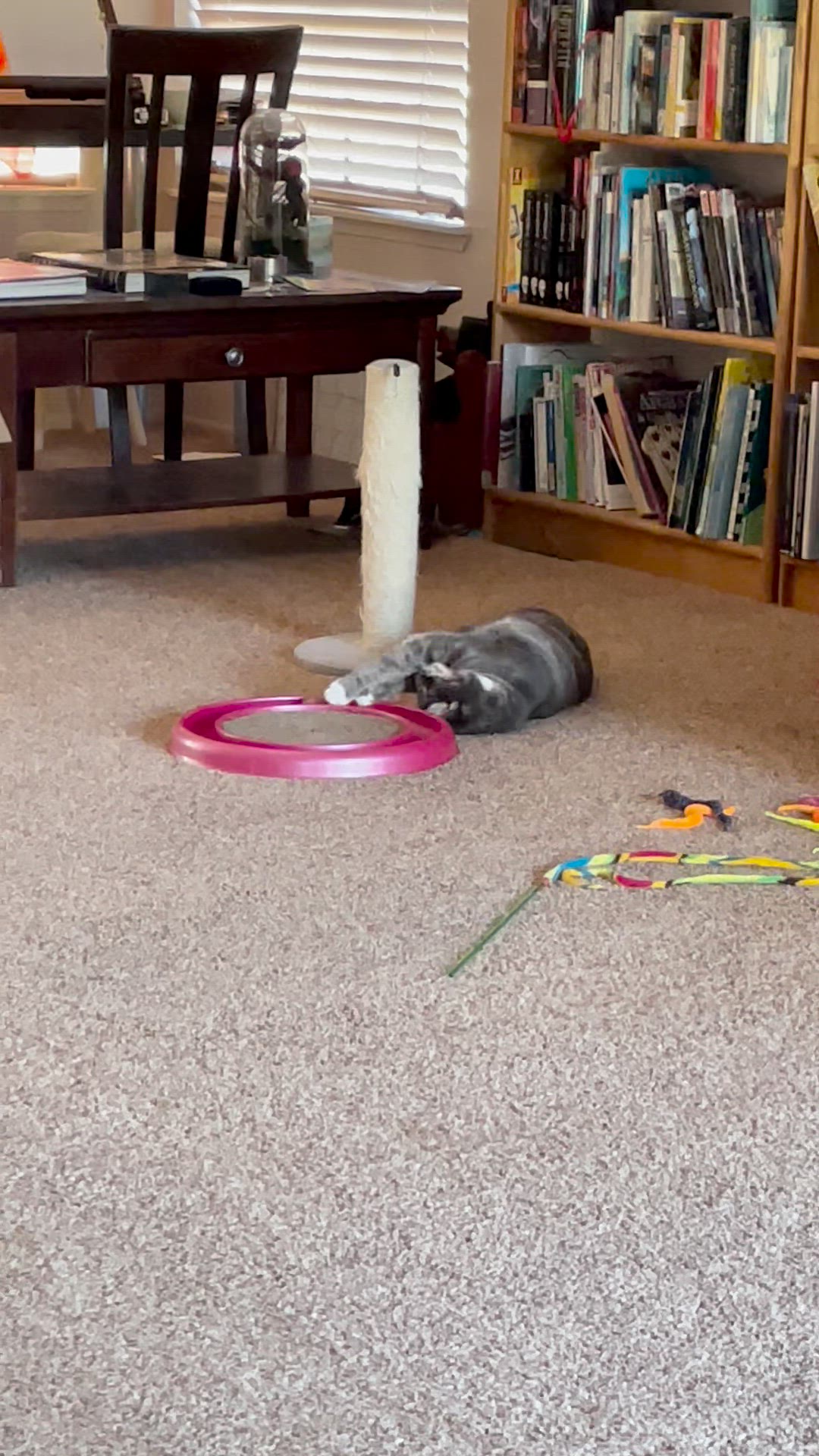 Video thumbnail for Gandr 1