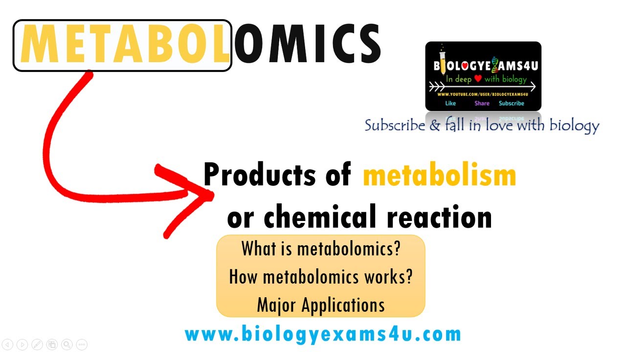 Video thumbnail for What is Metabolomics? How does Metabolomics work? Importance and applications of Metabolomics