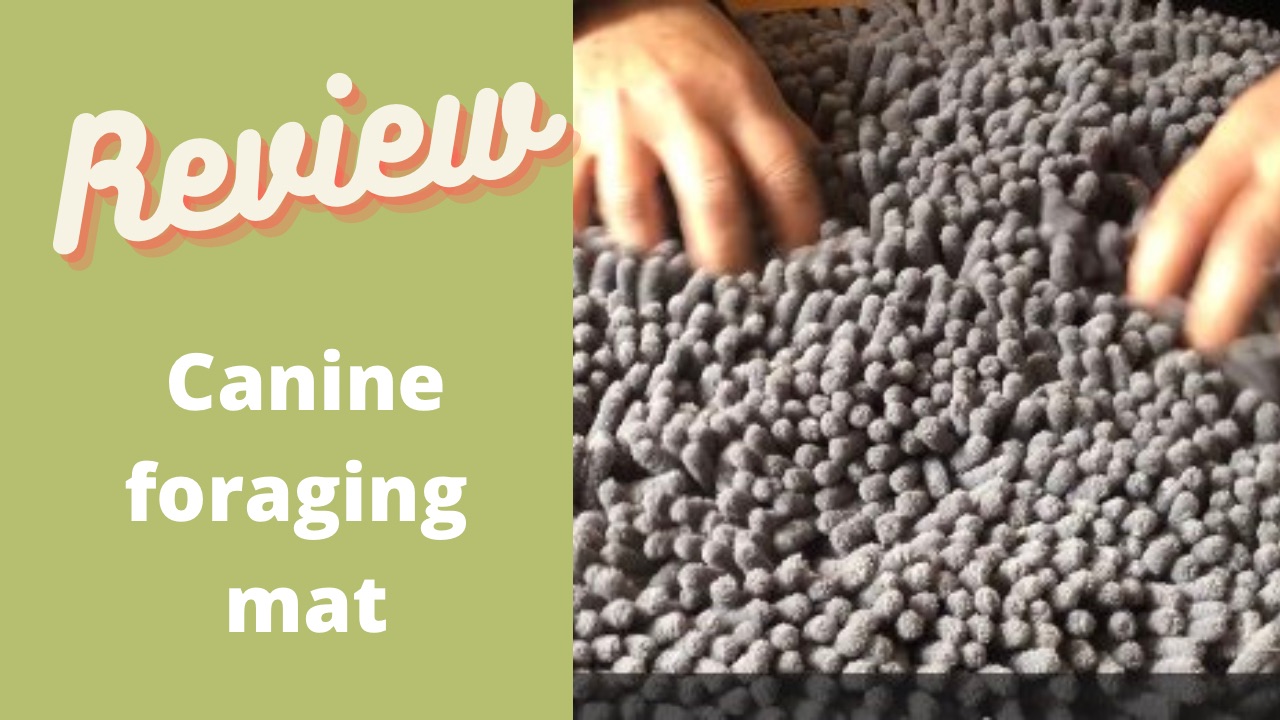 'Video thumbnail for Lamtwek Natural Foraging Snuffle Food Enrichment Mat - Sniff, Fun, Dog Puzzle Toys, Dog Brain Toy'