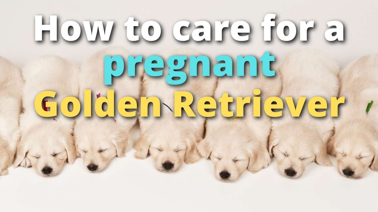 'Video playlist thumbnail'