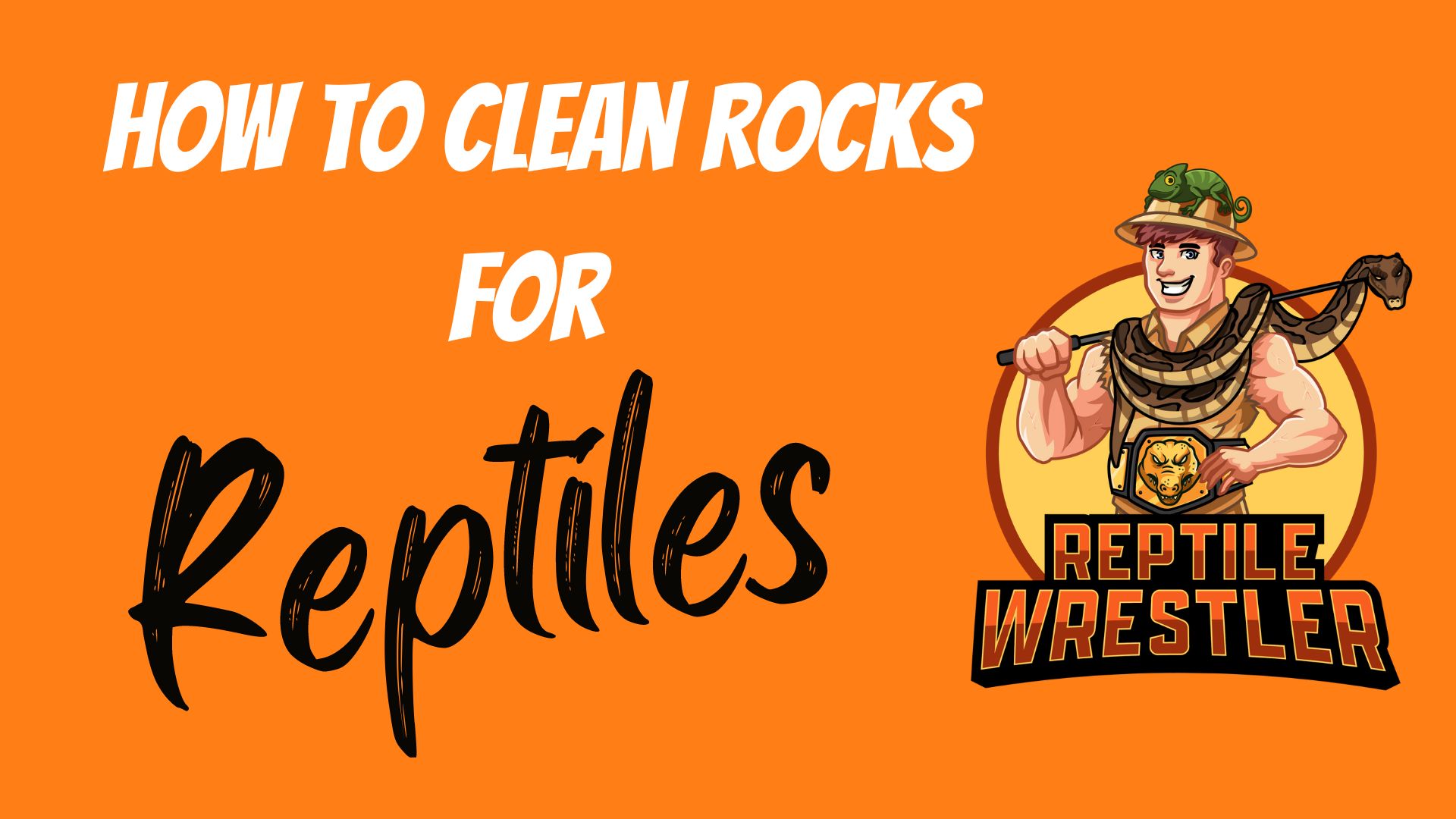 'Video thumbnail for How to Clean Rocks for Reptiles?'