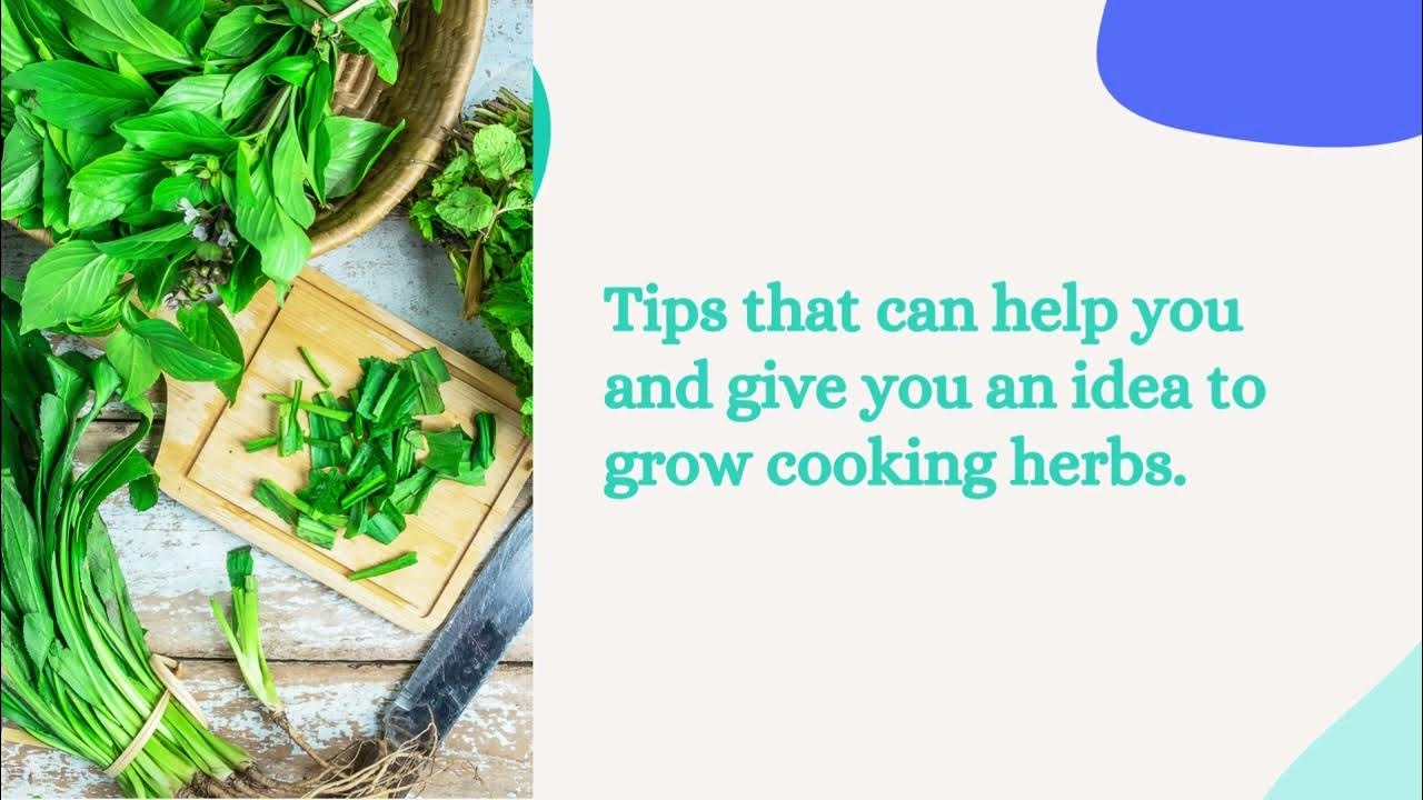 Video thumbnail for Herbs 101 – How To Plant, Grow, And Cook With Natural Herbs