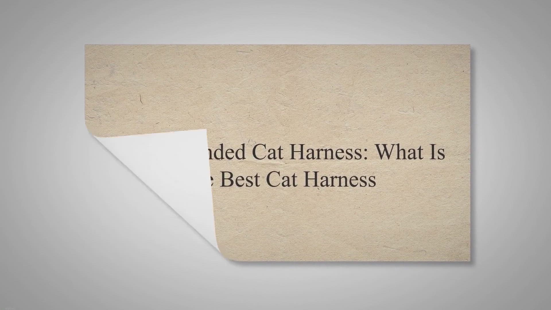Video thumbnail for Recommended Cat Harness: What Is The Best Cat Harness