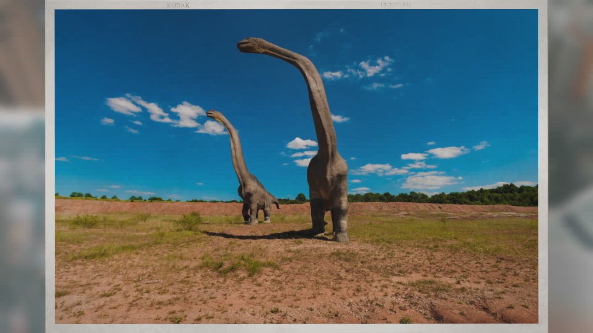 Video thumbnail for How Much Are Fossils Worth in Real Life?