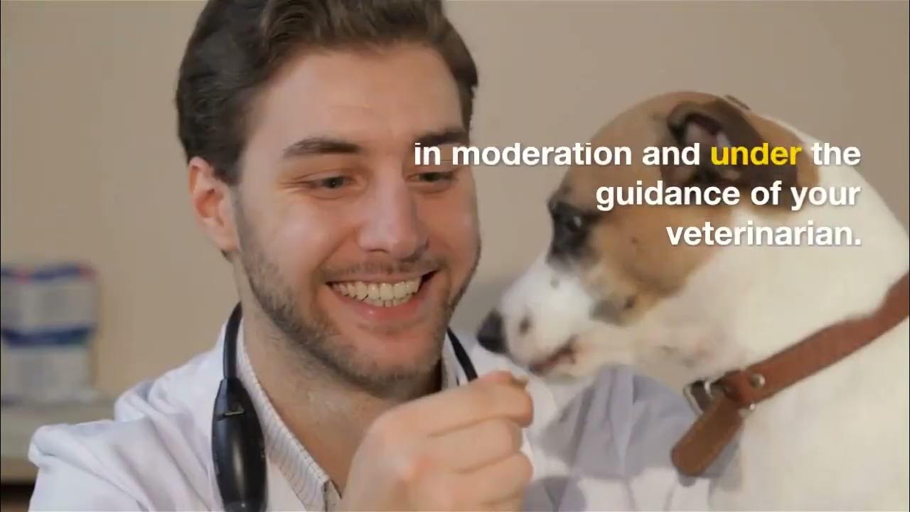 Video thumbnail for ARE VEGGIES GOOD FOR DOGS