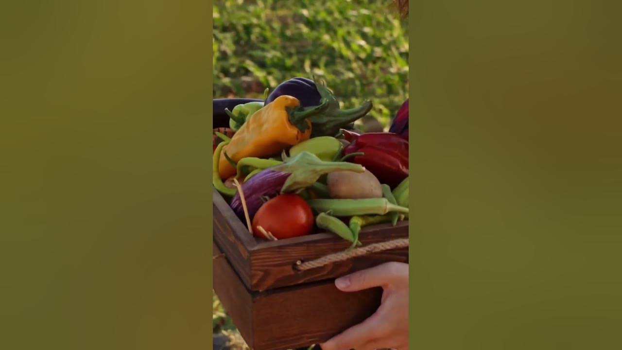 'Video thumbnail for Why Frozen Vegetables Are Actually Good for You #shorts'
