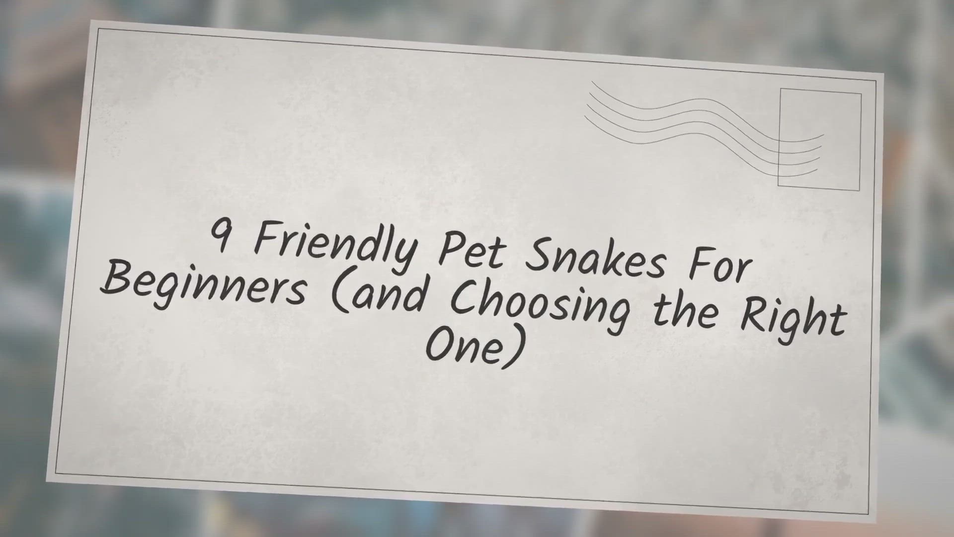 Video thumbnail for 9 Friendly Pet Snakes For Beginners (and Choosing the Right One)