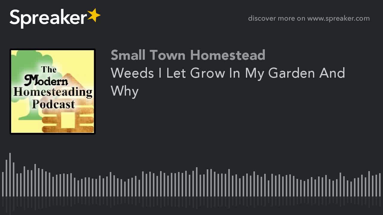 Video thumbnail for Weeds I Let Grow In My Garden And Why - Modern Homesteading Podcast
