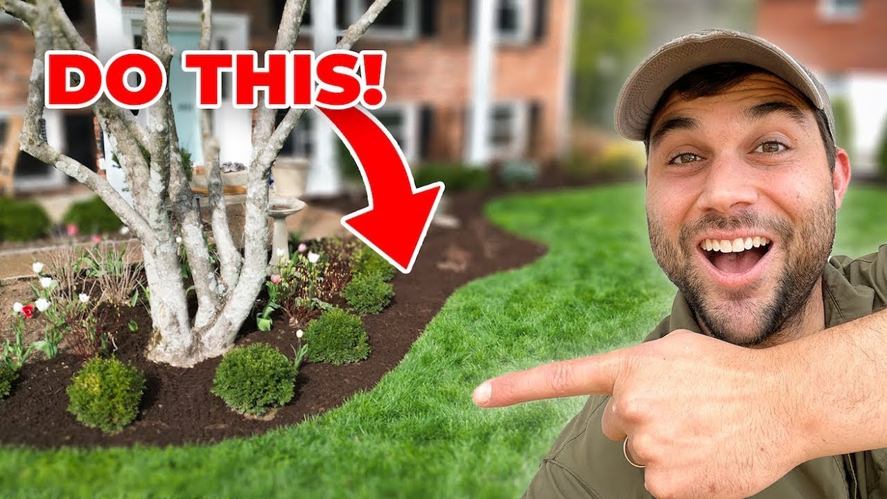 'Video thumbnail for STOP Letting Your Lawn DOWN! [DO THIS]'