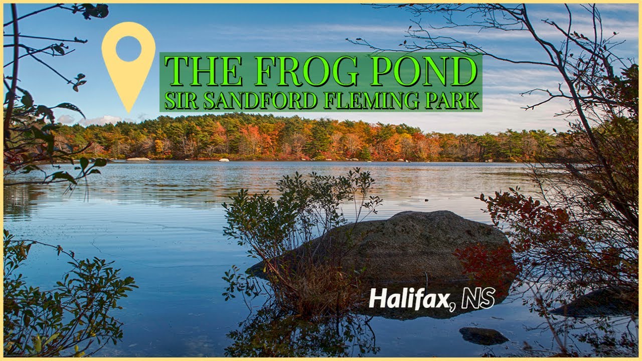 'Video thumbnail for The Frog Pond (Autumn) -Sir Sandford Fleming Park - Halifax, NS'