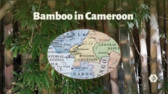 'Video thumbnail for Bamboo crafts in Cameroon'