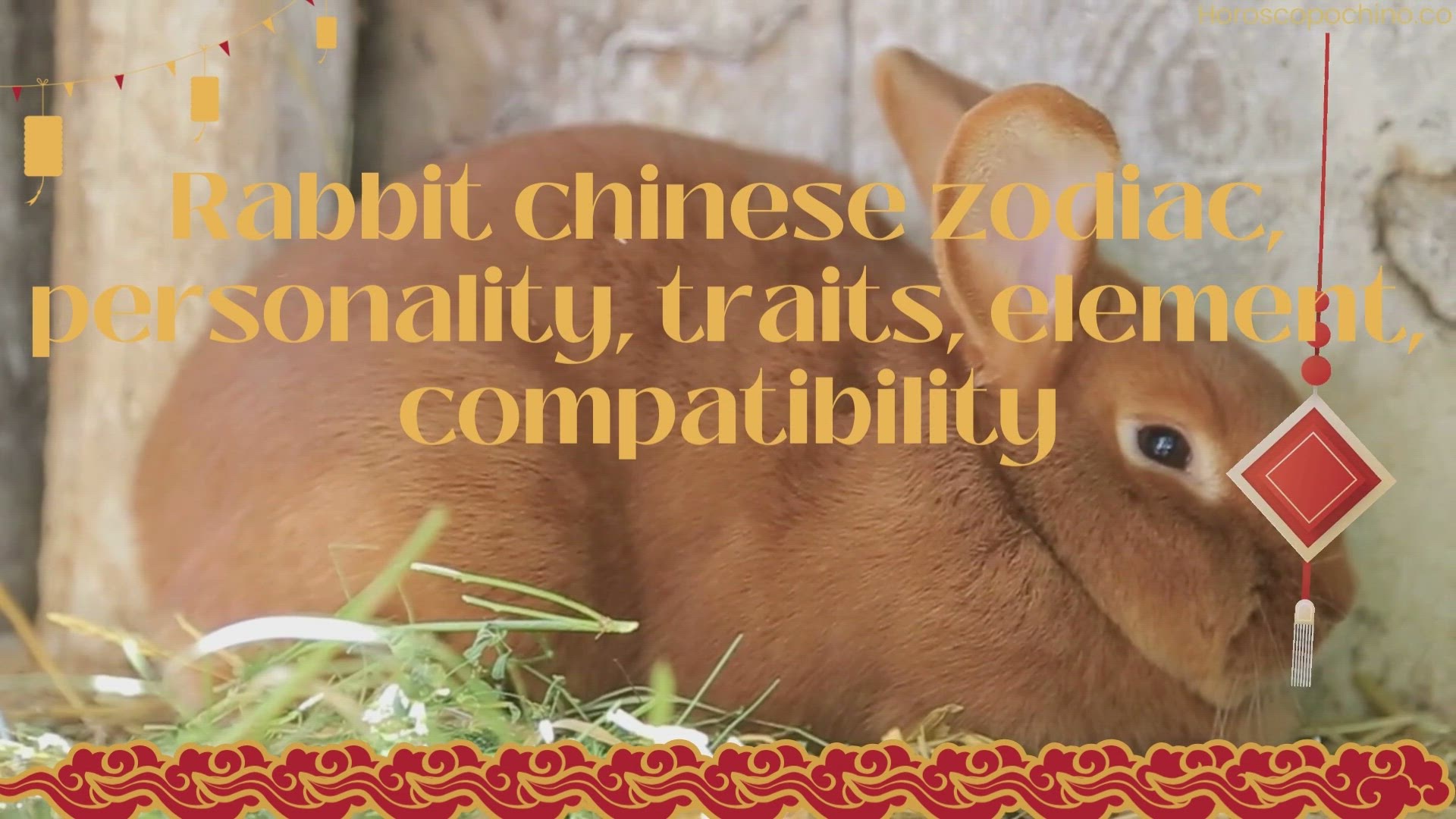 'Video thumbnail for Rabbit chinese zodiac, personality, traits, element, compatibility'