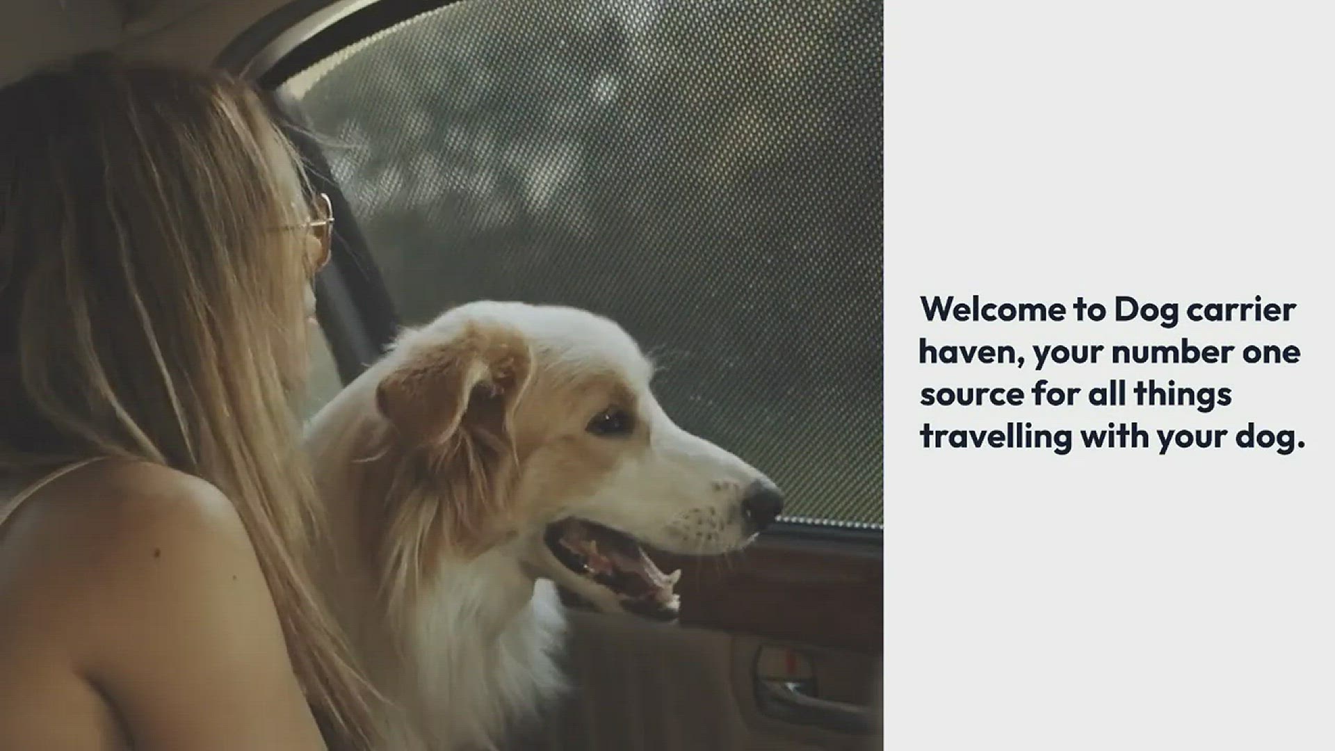 Video thumbnail for Dog Carrier Haven Welcome Video