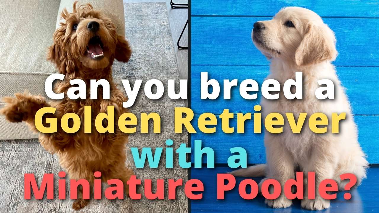 'Video playlist thumbnail'