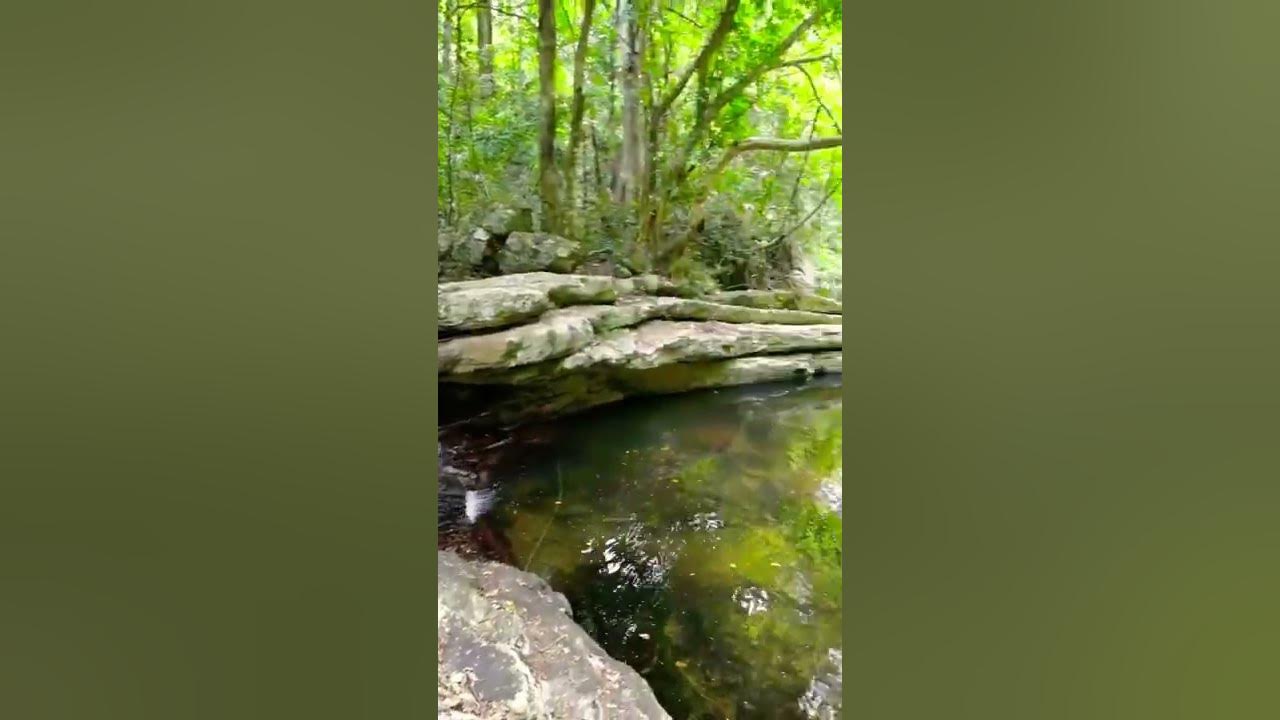 Video thumbnail for Natural Pool in Knuckles Mountain Range Sri Lanka