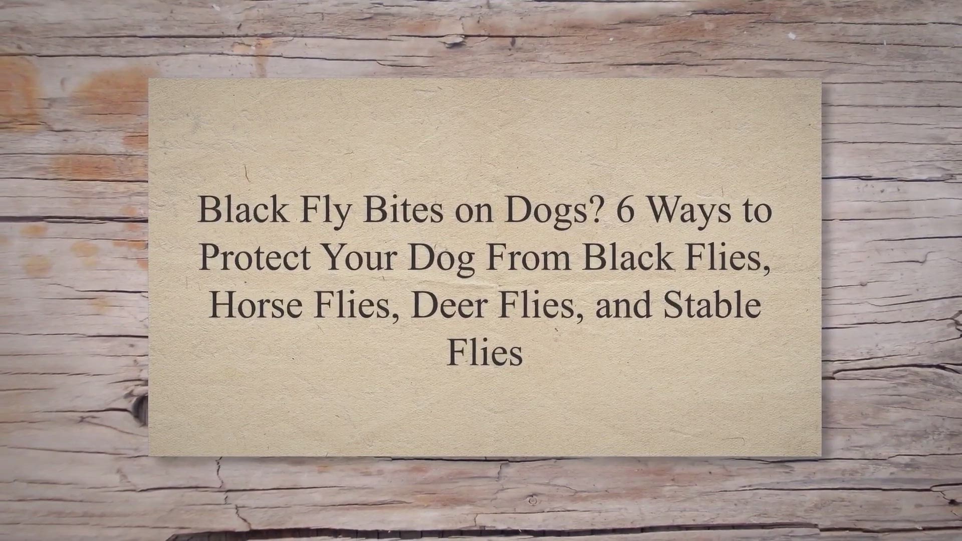Video thumbnail for Black Fly Bites on Dogs? 6 Ways to Protect Your Dog From Black Flies, Horse Flies, Deer Flies, and Stable Flies