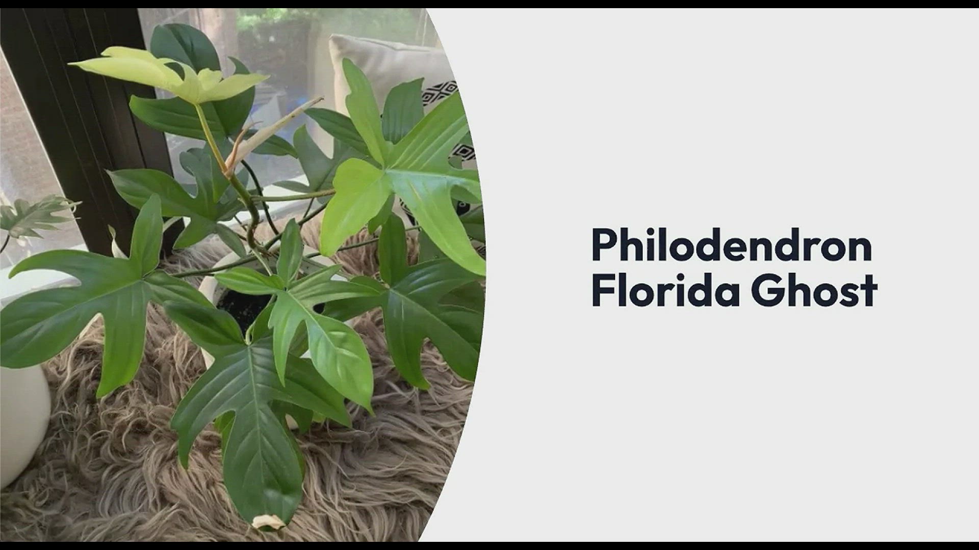 Video thumbnail for Garden Crafted Video