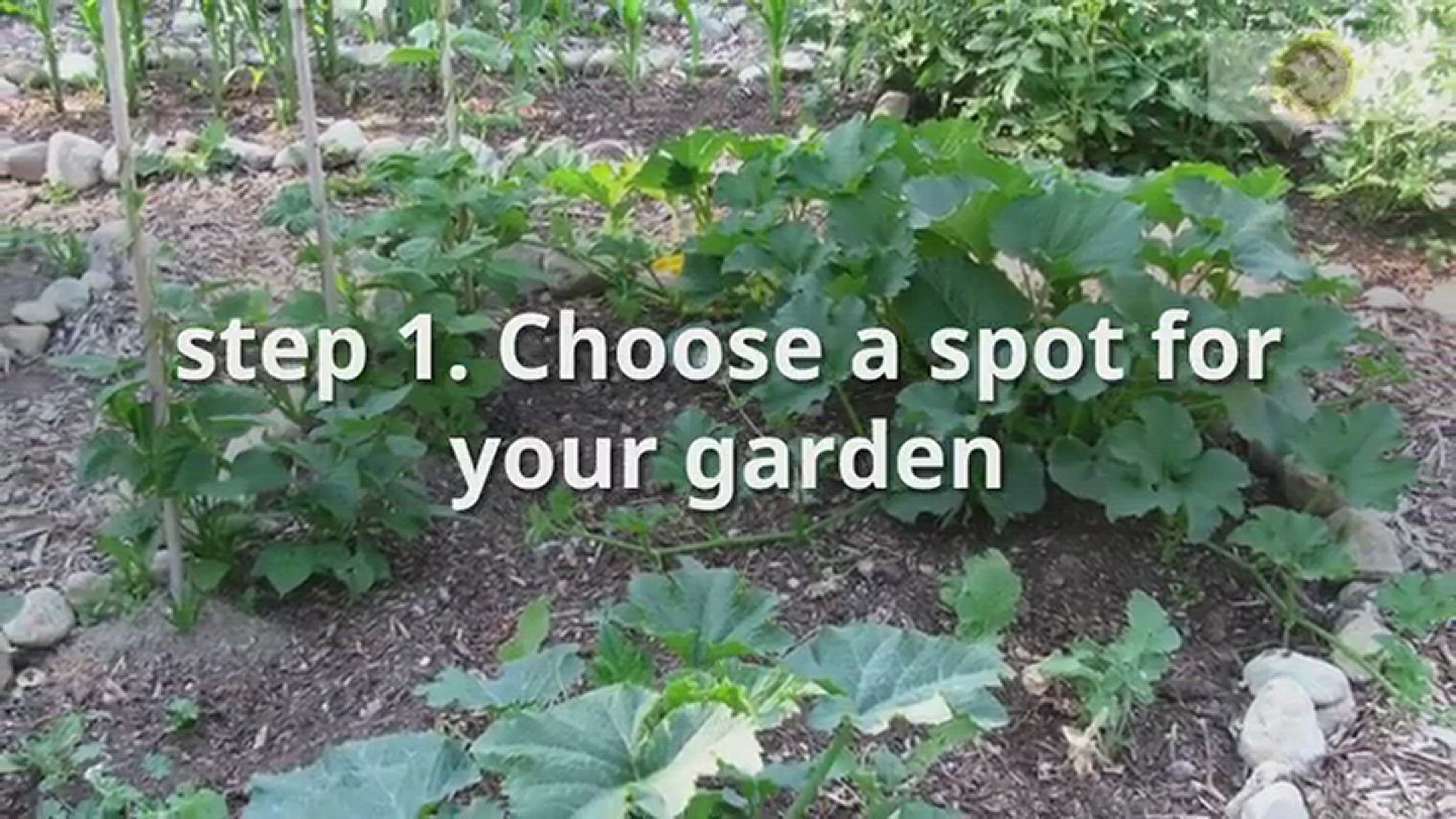 Video thumbnail for Start a Garden