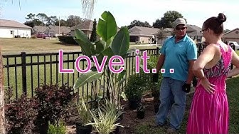Video thumbnail for Tropical backyard makeover of our Florida Backyard by Canterbury Farms Nursery!!