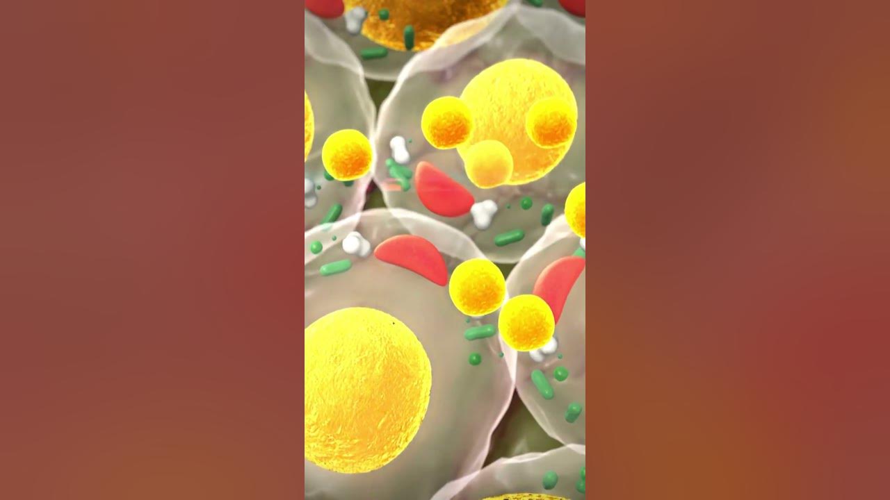'Video thumbnail for Kiwi Your Way to Better Health! #shorts'