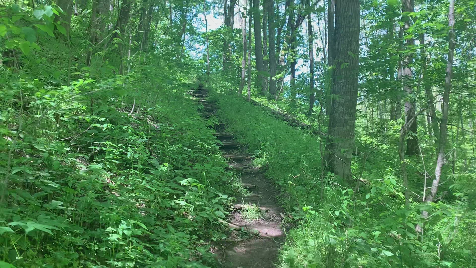 'Video thumbnail for Tom Dorman State Nature Preserve'