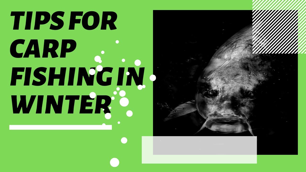 'Video thumbnail for Tips for Carp Fishing in Winter: Improve your fishing skills'