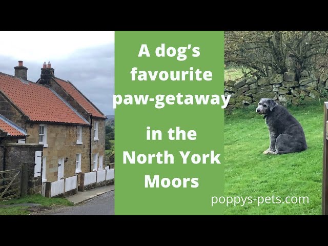 'Video playlist thumbnail'