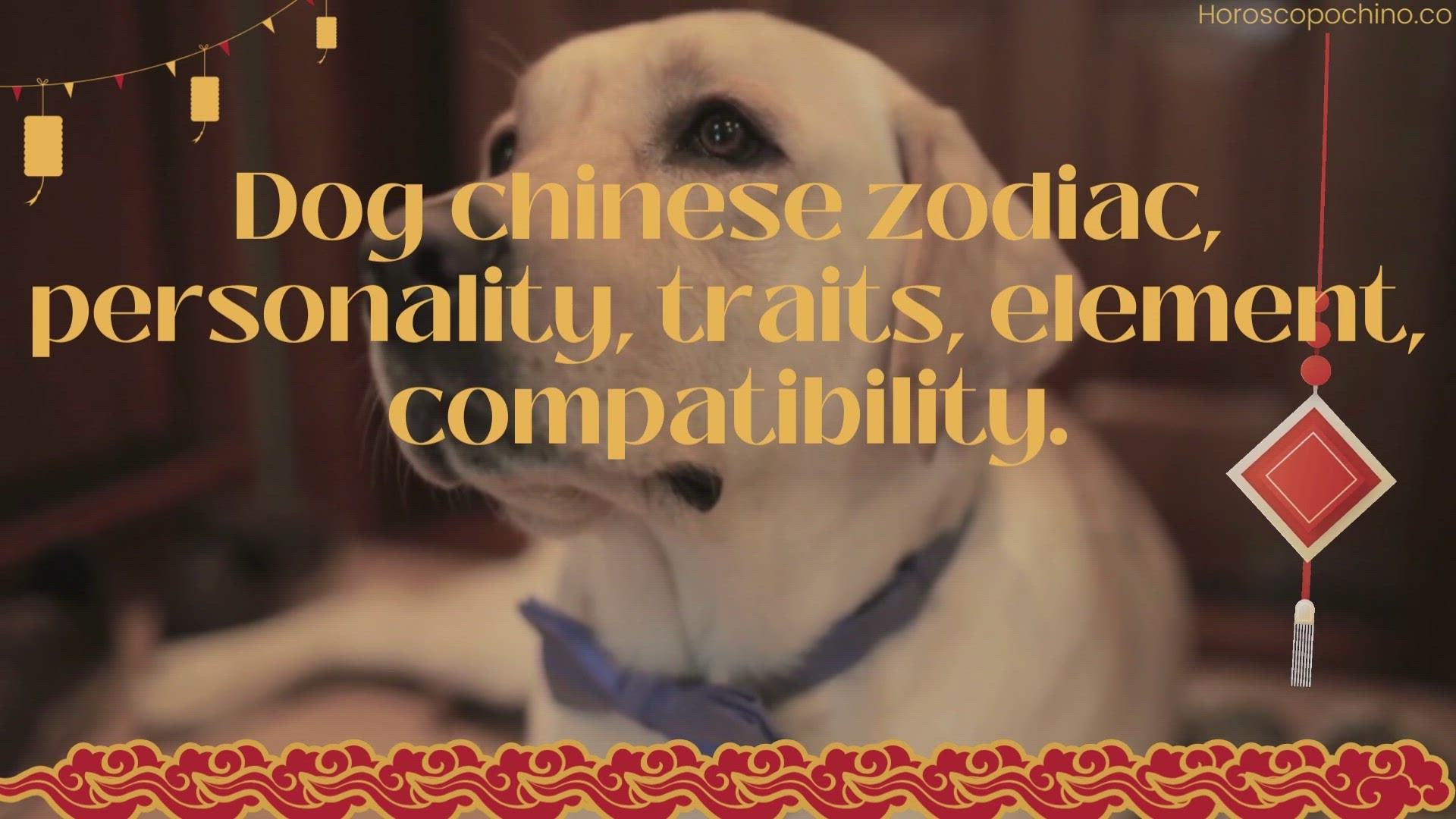 'Video thumbnail for Dog chinese zodiac, personality, traits, element, compatibility.'