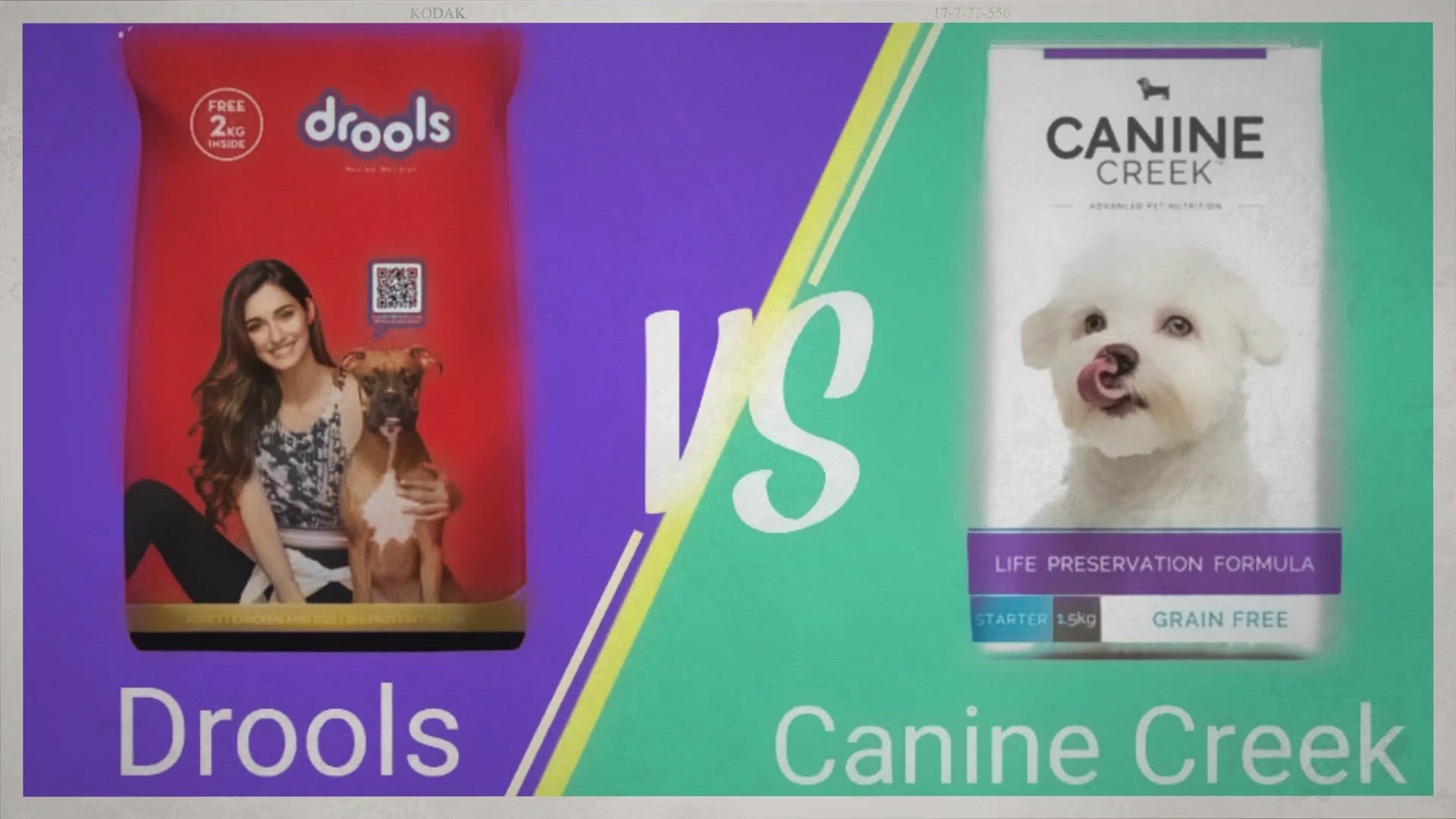 'Video thumbnail for Canine Creek Vs Drools Dog Food | Which Dog Food Is The Best In 2022'