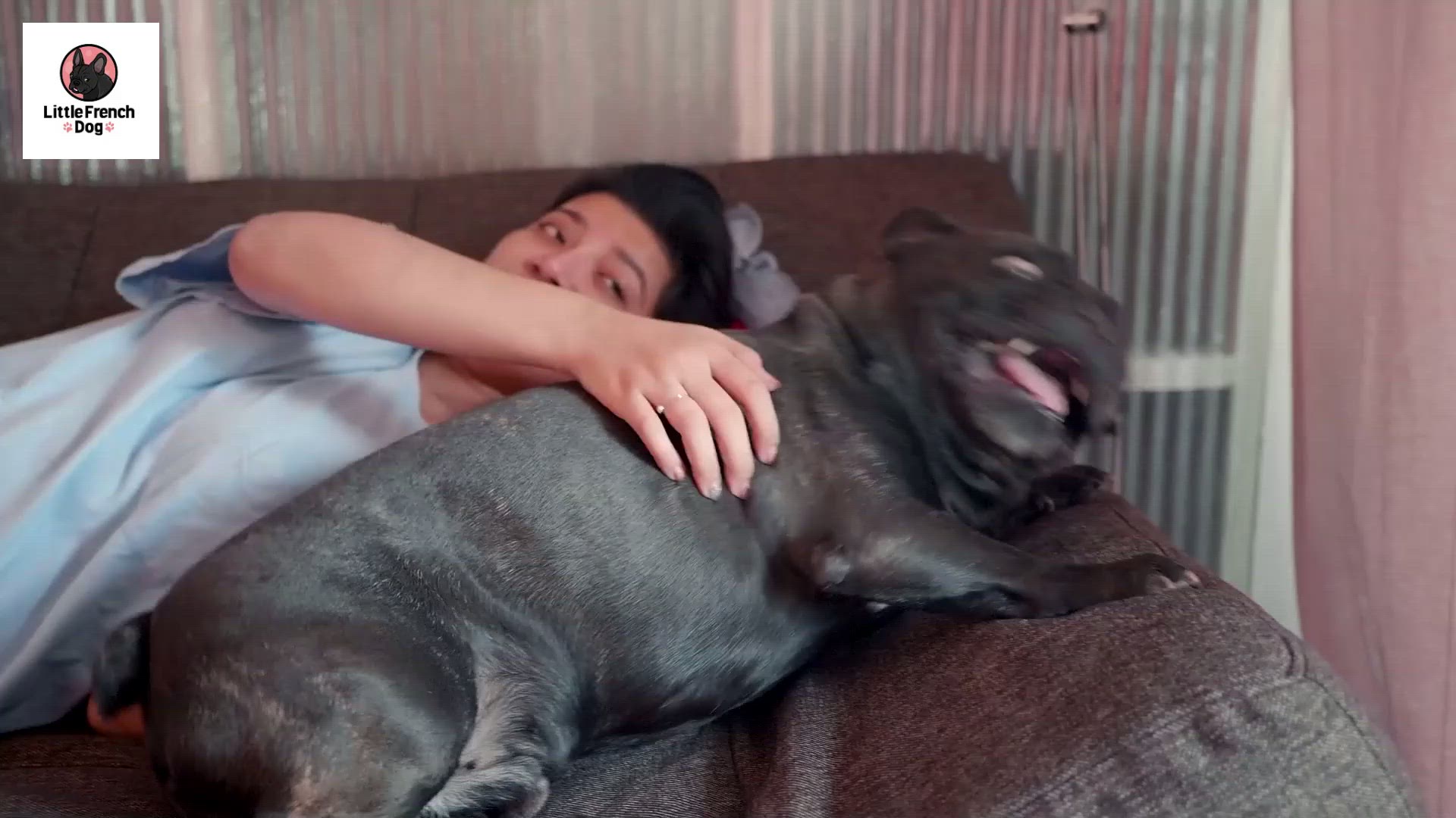 Video thumbnail for Why Does My French Bulldog Have Bumps And Lumps
