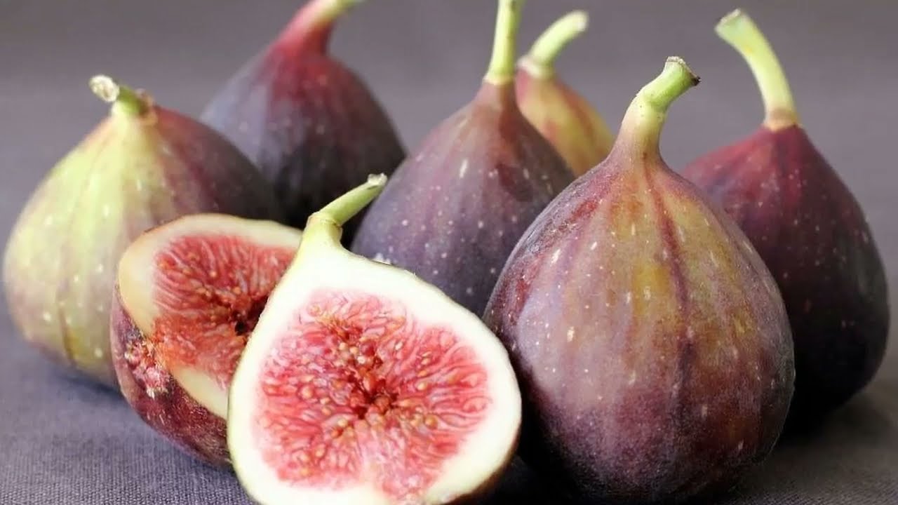 Video thumbnail for Can Dogs Eat Figs? | Cute Dog Videos | Pawesomepuppy