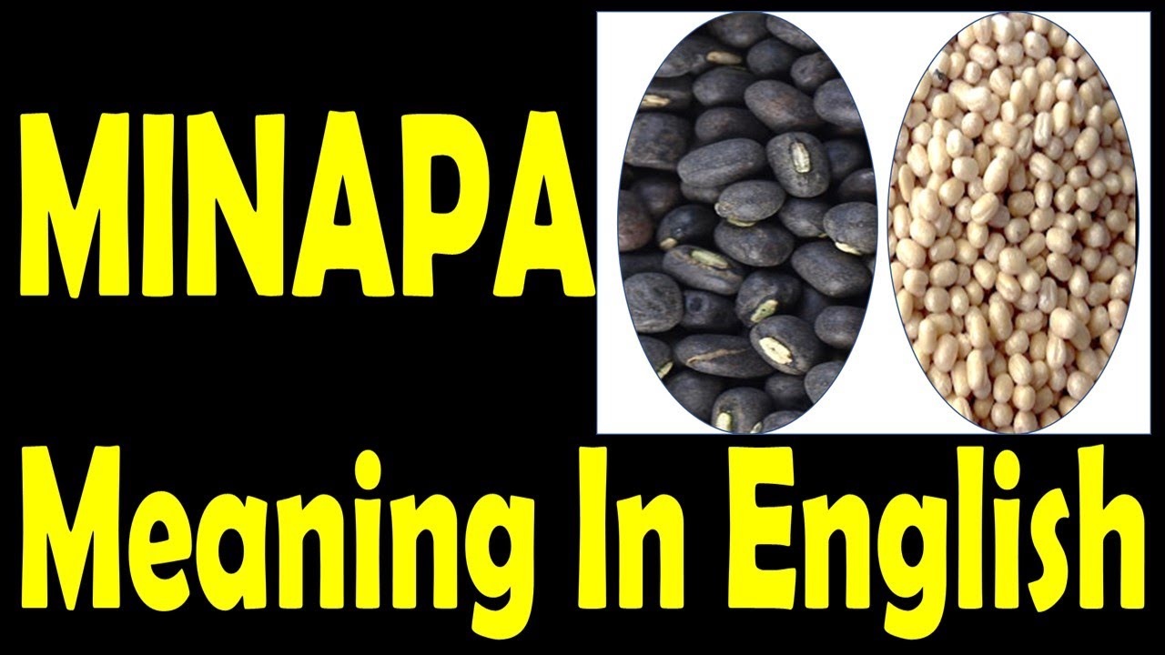 Video thumbnail for Minapa Meaning in English | Minapappu Scientific Name